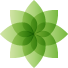 Vermont Commons Civic Association
